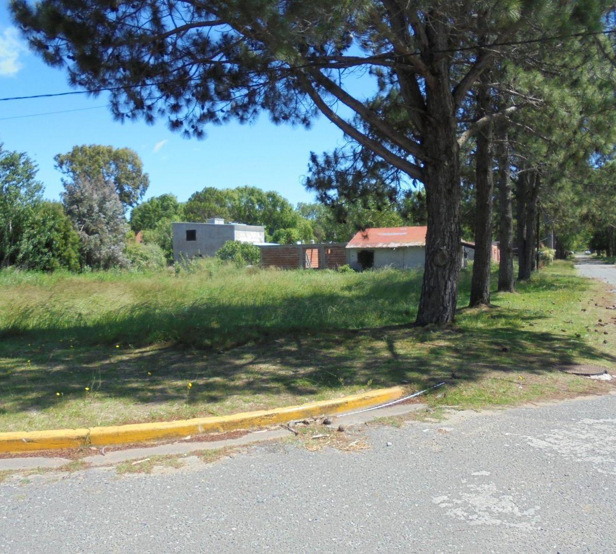 Lote. | Av San Bernardo 4