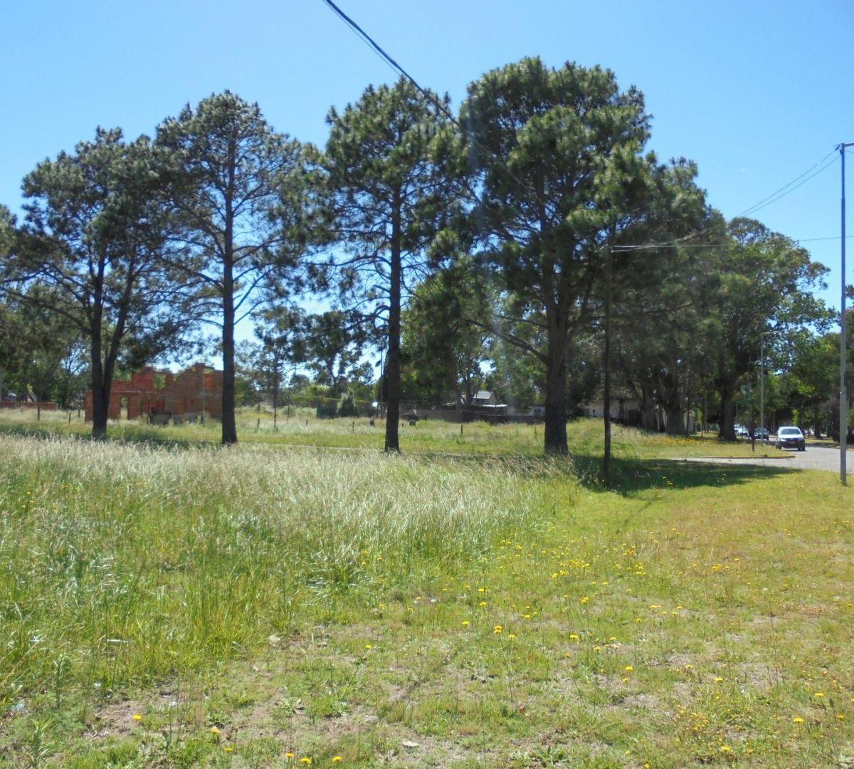 Lote. | Av San Bernardo 5