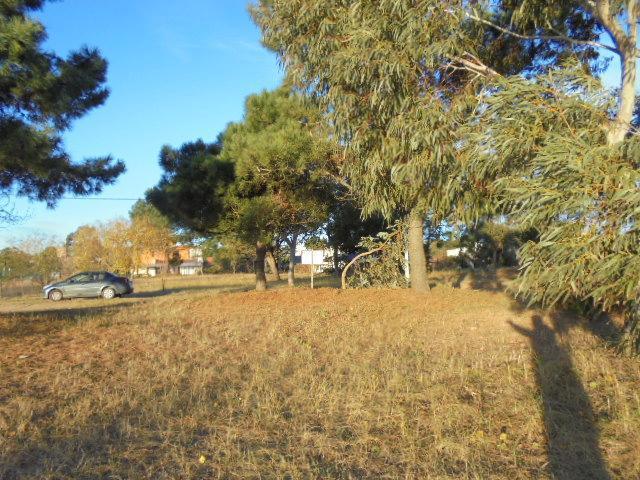 Lote . | JUJUY