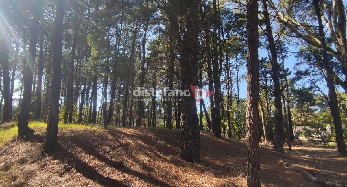 Lote . | AV. FRAGATA LIBERTAD