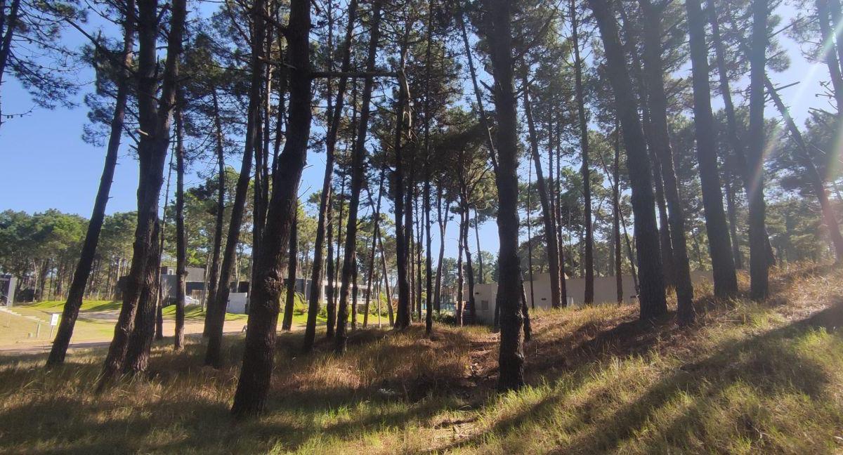 Lote . | Cul de Sac Fragata Libertad