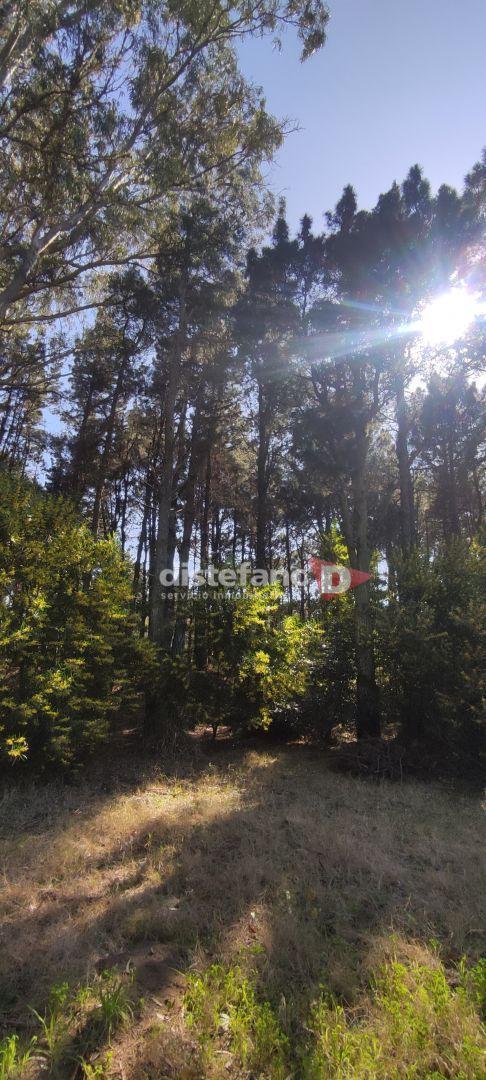 Lote . | Cul de Sac Fragata Libertad