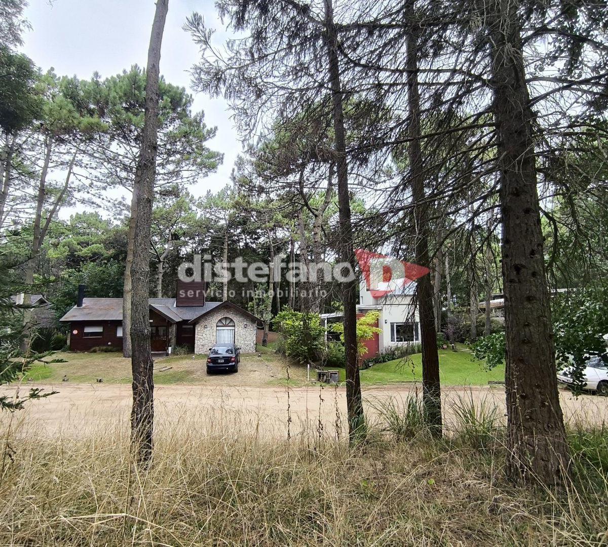 Lote. | del Jilguero 4