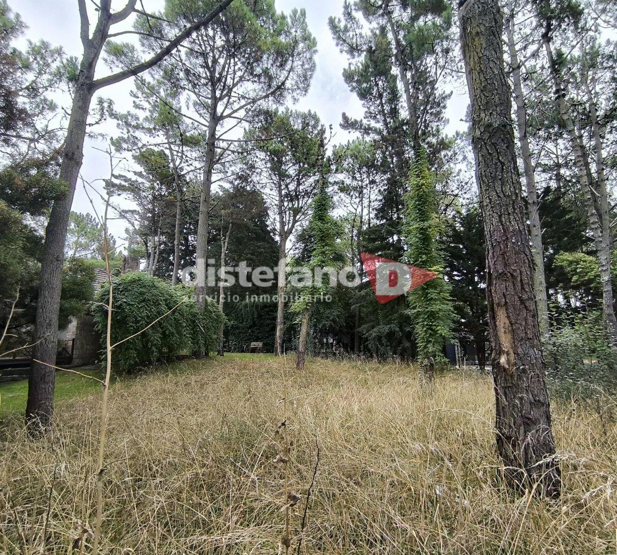 Lote. | del Jilguero 5