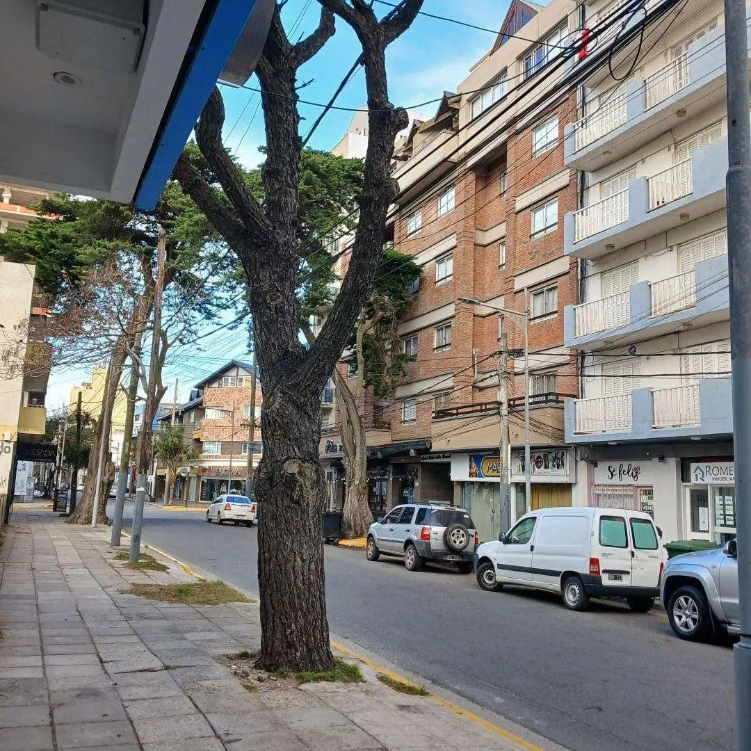 Departamento 1 dormitorio. | CHIOZZA 1838 3