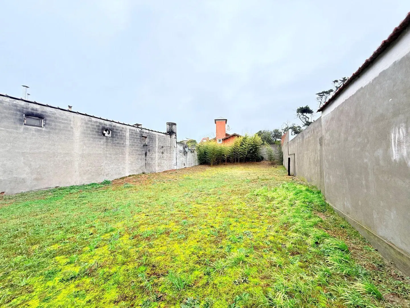OPORTUNIDAD, INVERSORES 3