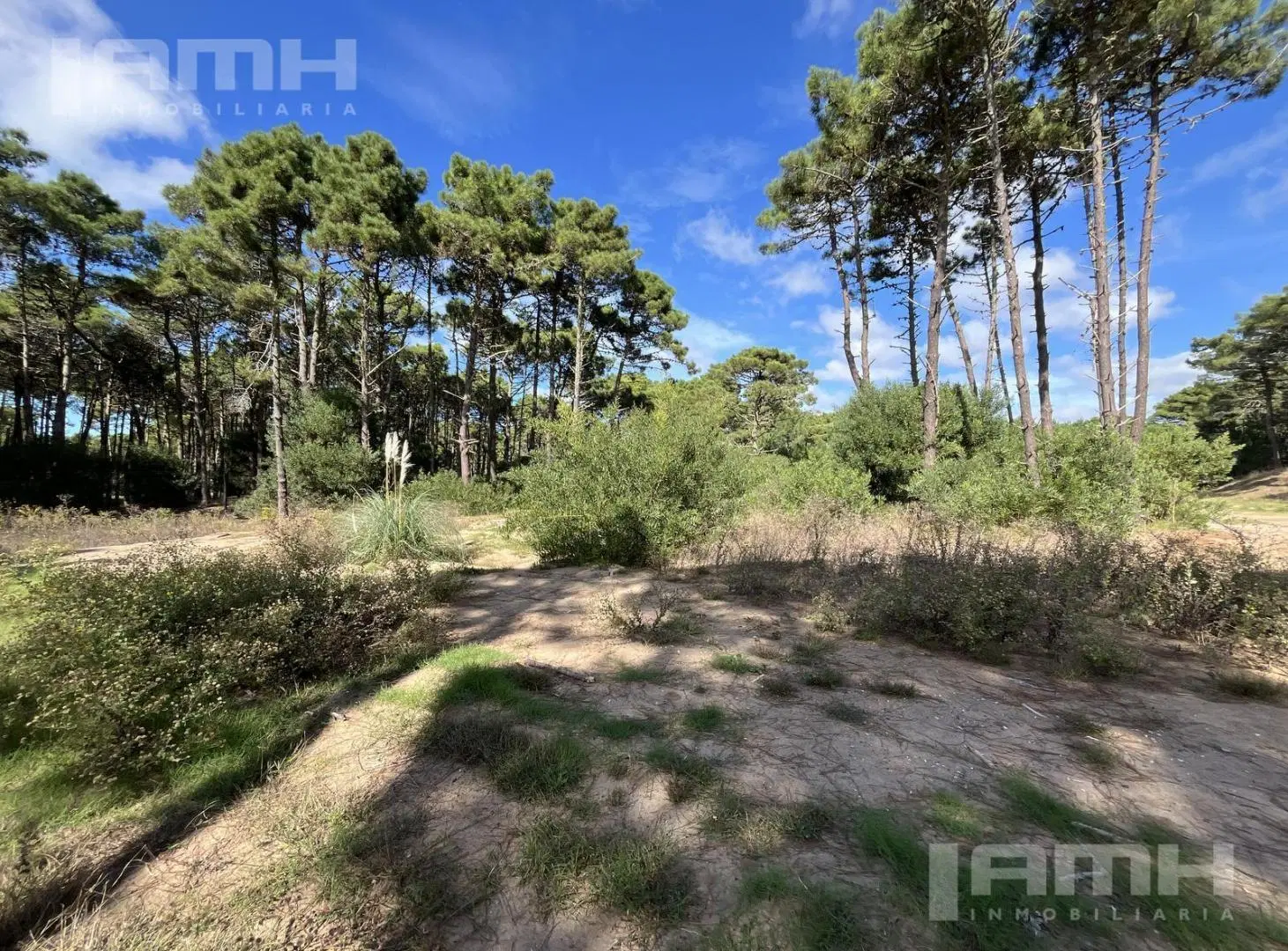 Terreno en  Venta en barrio Bosques Pinamar 2