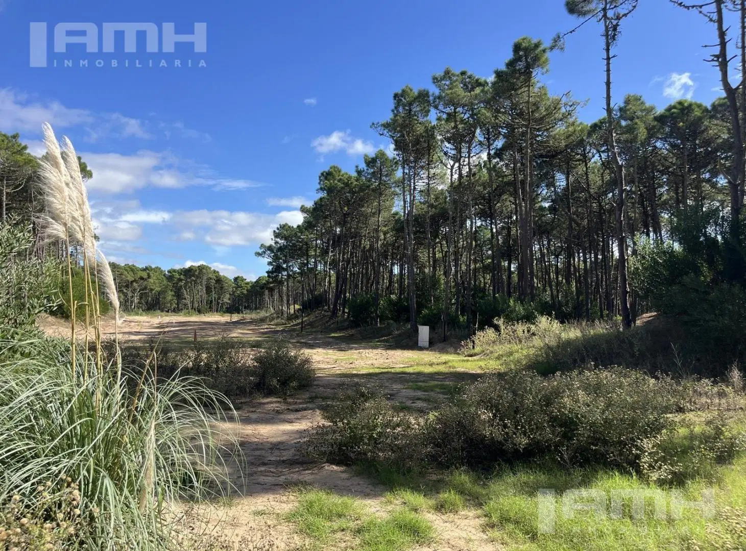 Terreno en  Venta en barrio Bosques Pinamar 3