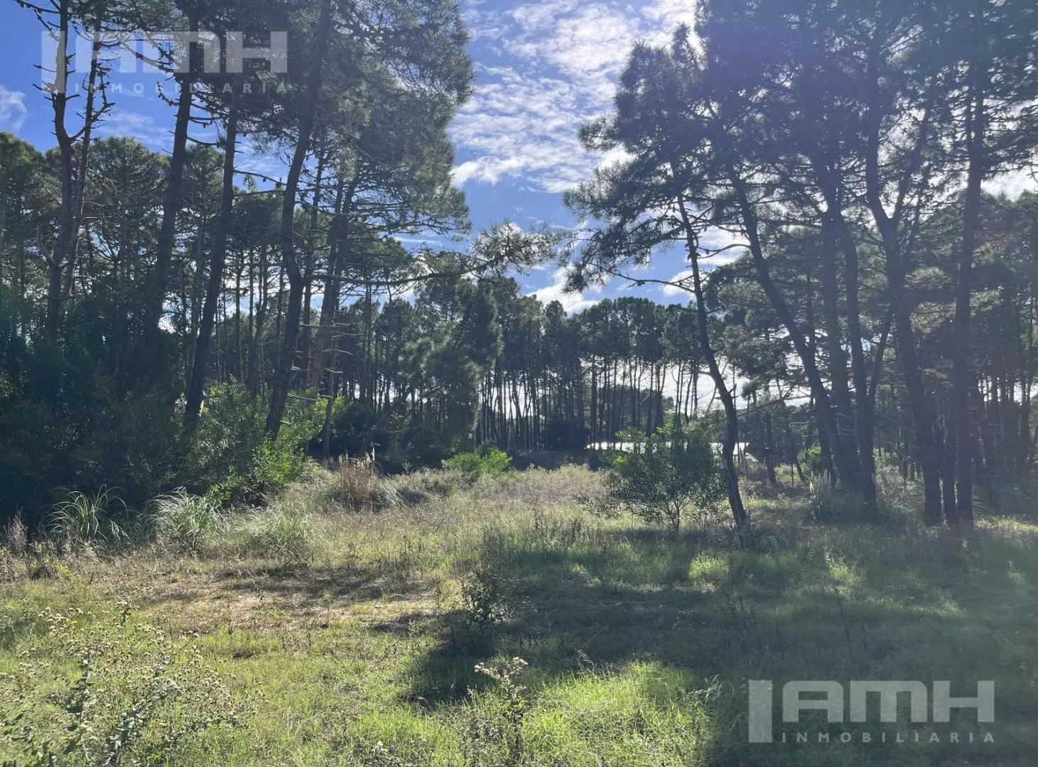 Terreno en  Venta en barrio Bosques Pinamar 5