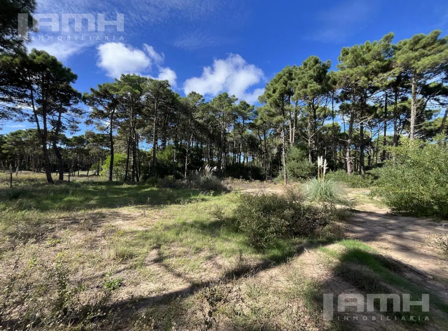 Terreno en  Venta en barrio Bosques Pinamar 4