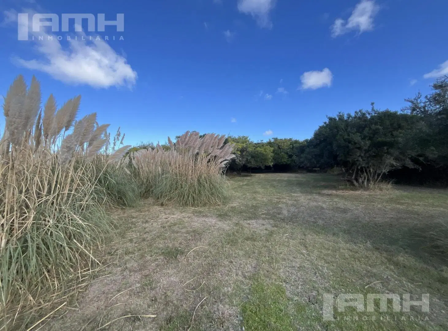 Chacra en Venta Laguna El Rosario 3