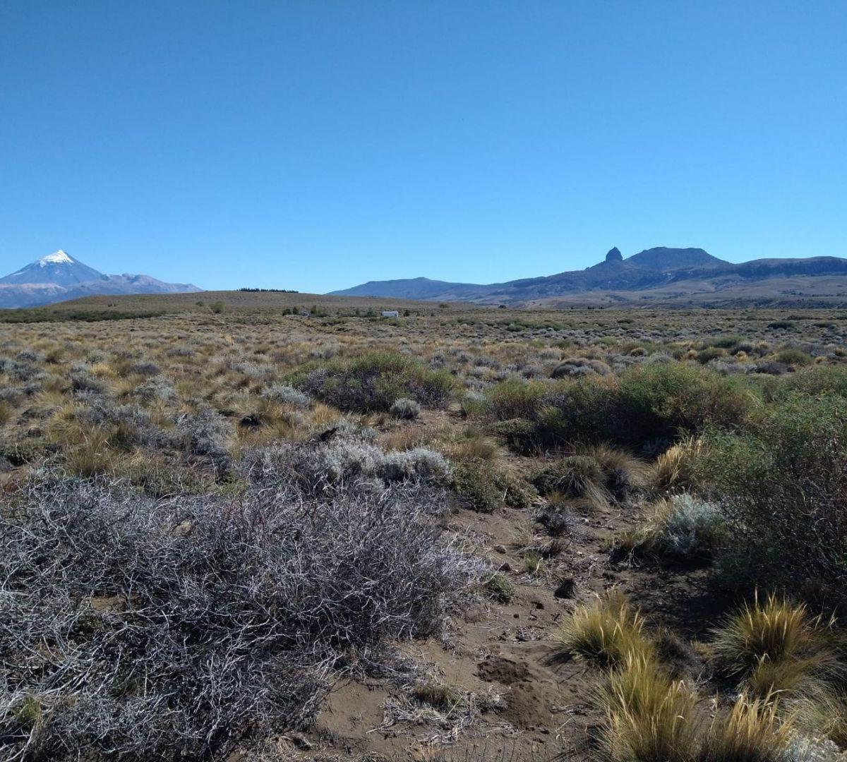 Lote. | Lago Huechulafquen - Lago Huechulafquen G 3