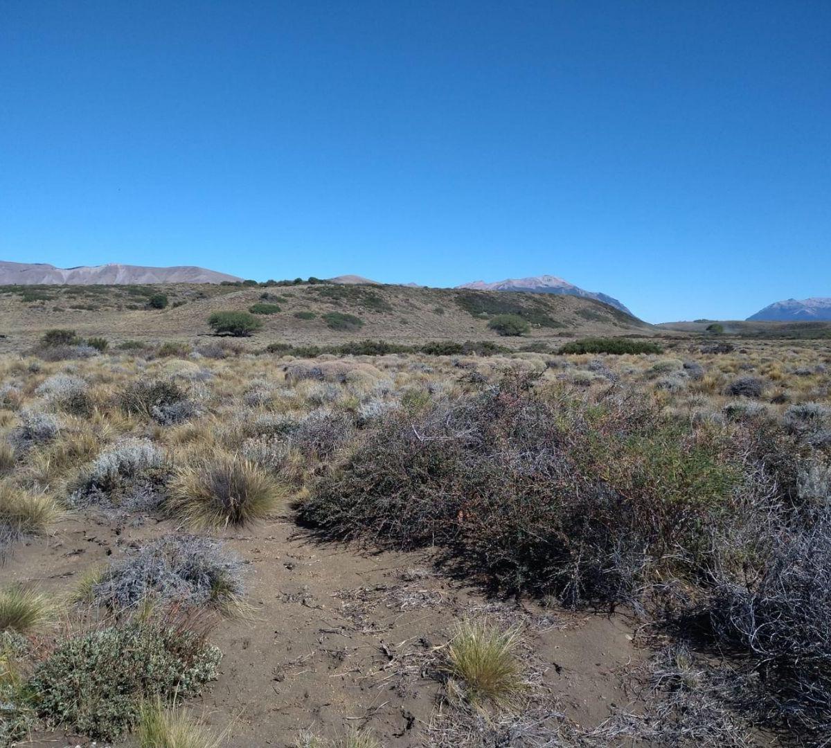 Lote. | Lago Huechulafquen - Lago Huechulafquen G 4