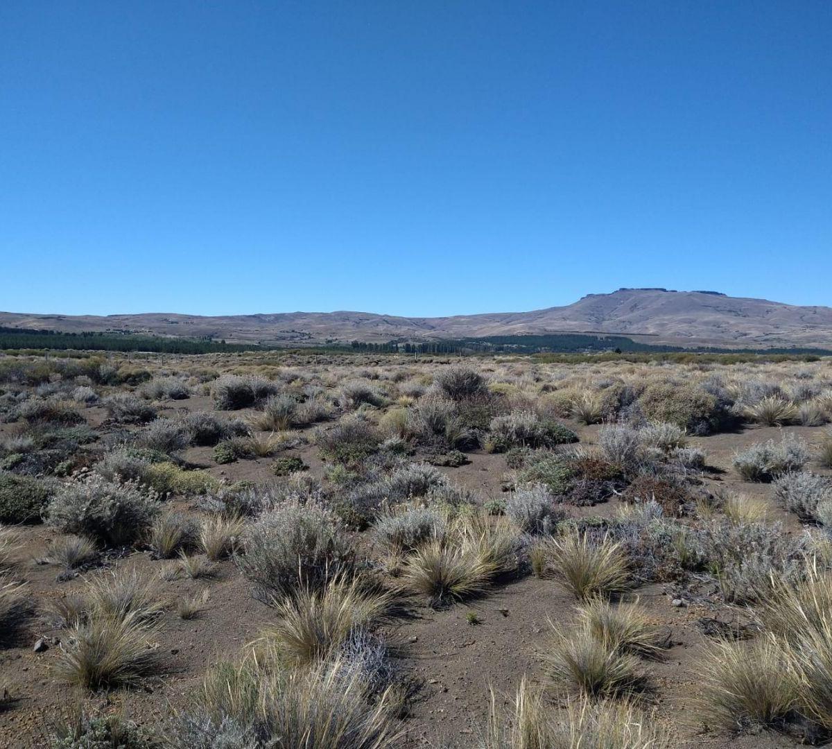 Lote. | Lago Huechulafquen - Lago Huechulafquen G 5