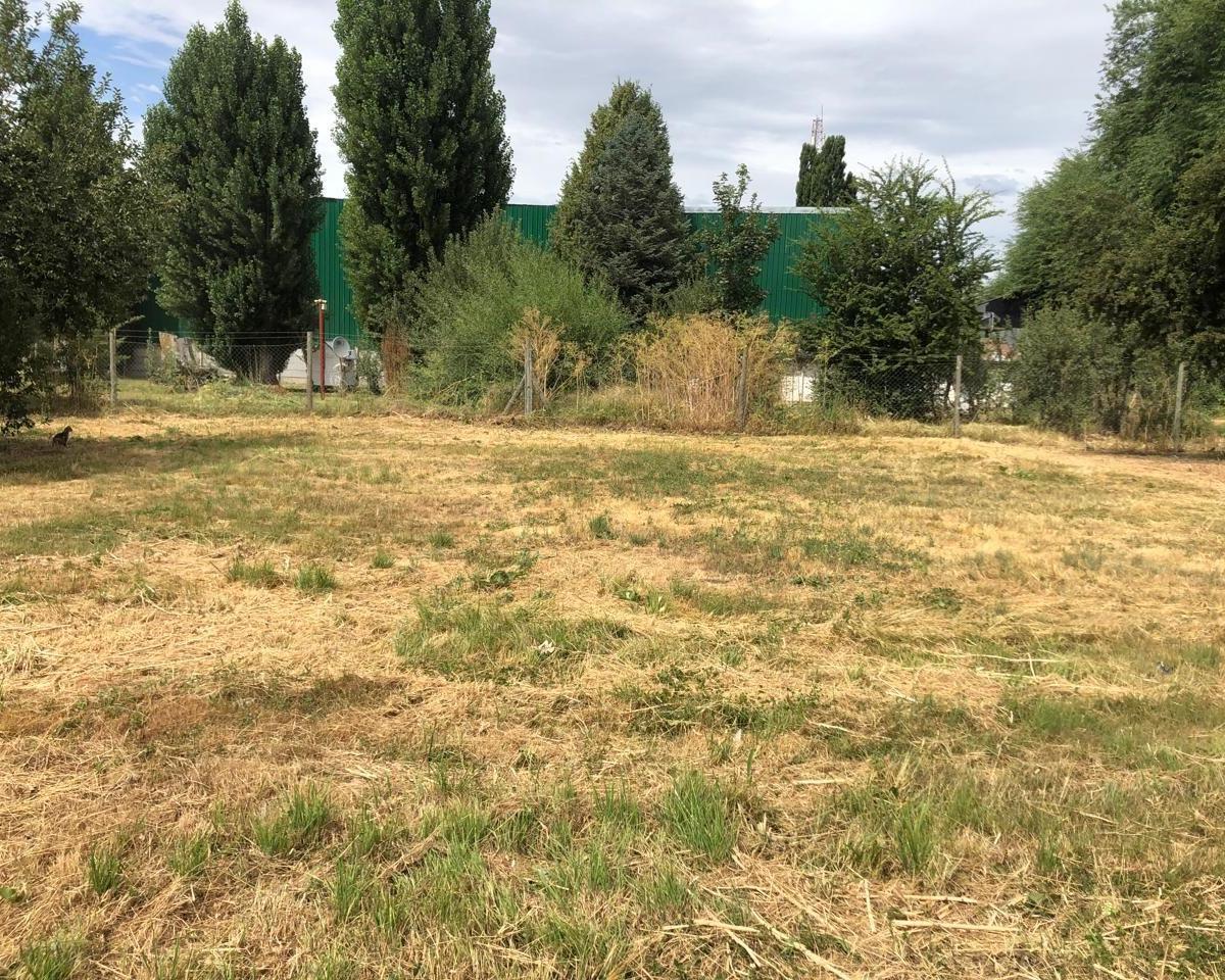 Lote en El Centro de Junin de Los Andes 3