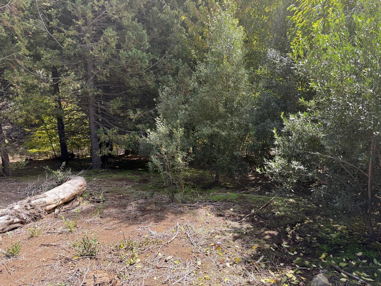 Foto de Lote . | Loteo Handel - San Martín de los Andes, imagen 4