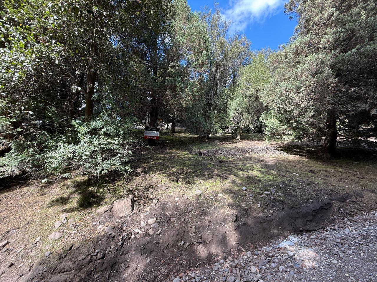 Foto de Lote . | Loteo Handel - San Martín de los Andes, imagen 2