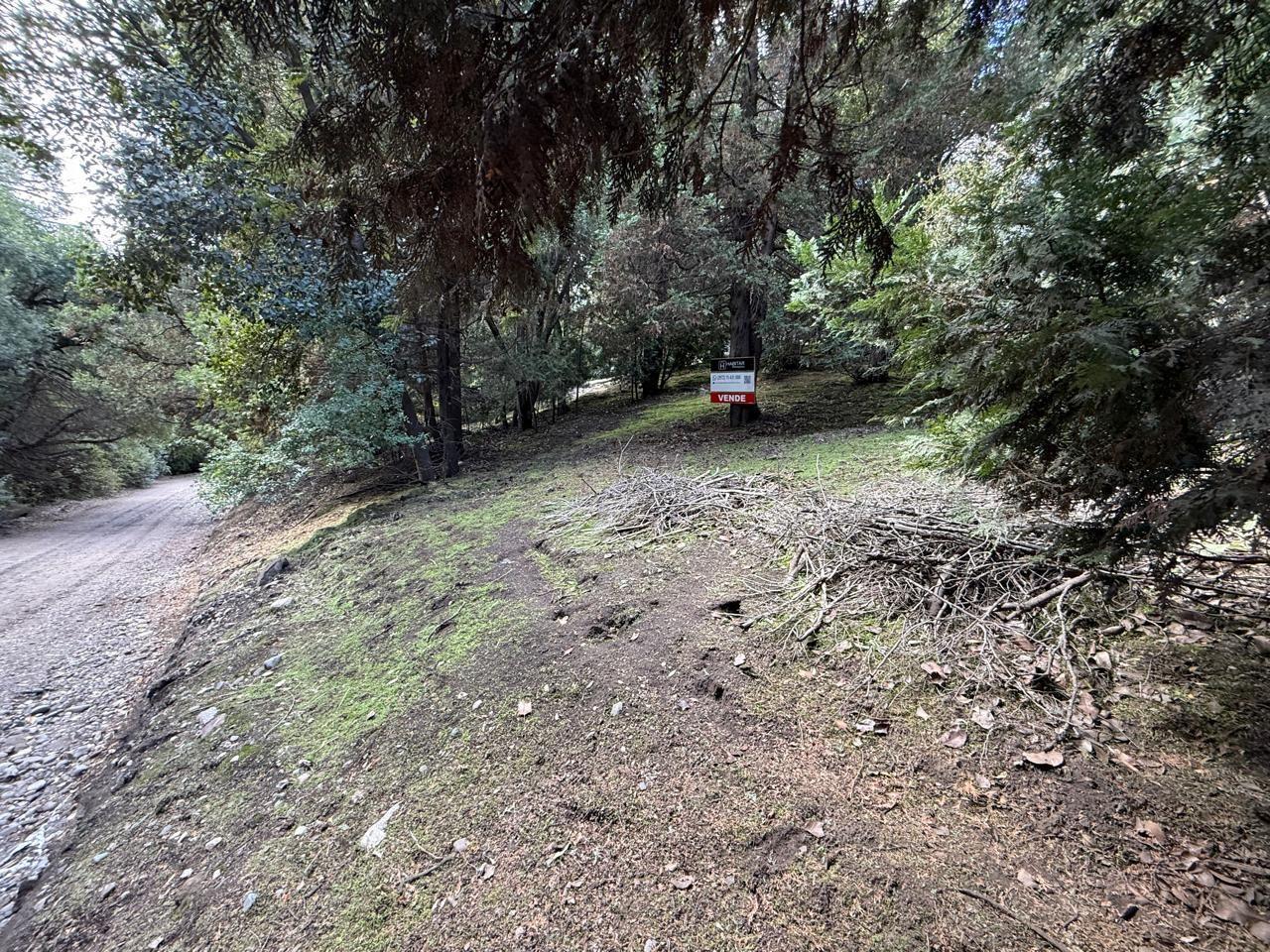 Foto de Lote . | Loteo Handel - San Martín de los Andes, imagen 3