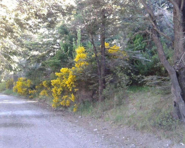 Magnifica Fraccion de 8.000 m² Frente Al Campo de Golf del Hotel Llao Llao 1