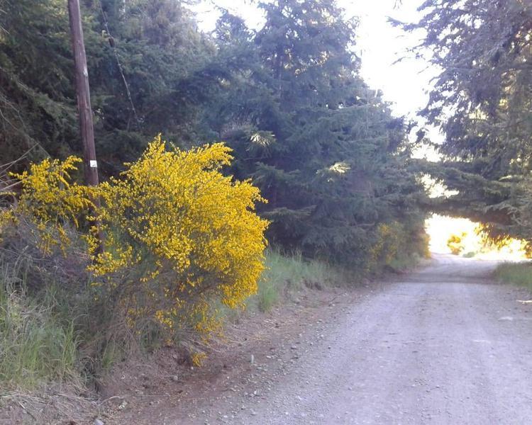 Magnifica Fraccion de 8.000 m² Frente Al Campo de Golf del Hotel Llao Llao 5