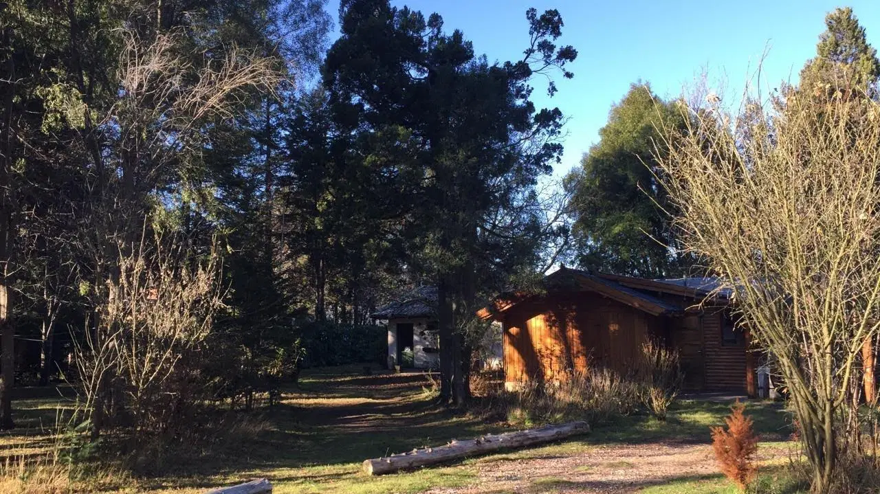 TERRENO SOBRE COSTA LAGO MORENO 8