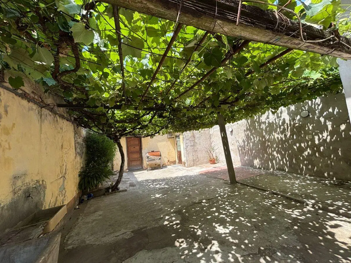 Lote 7,66x35mts con 2 Casas a RECICLAR Oportunidad 8