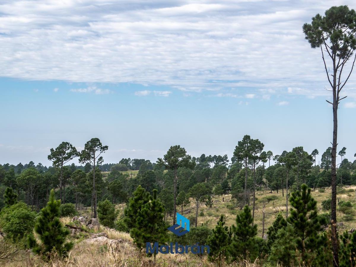 Terreno en Venta Villa Yacanto 2