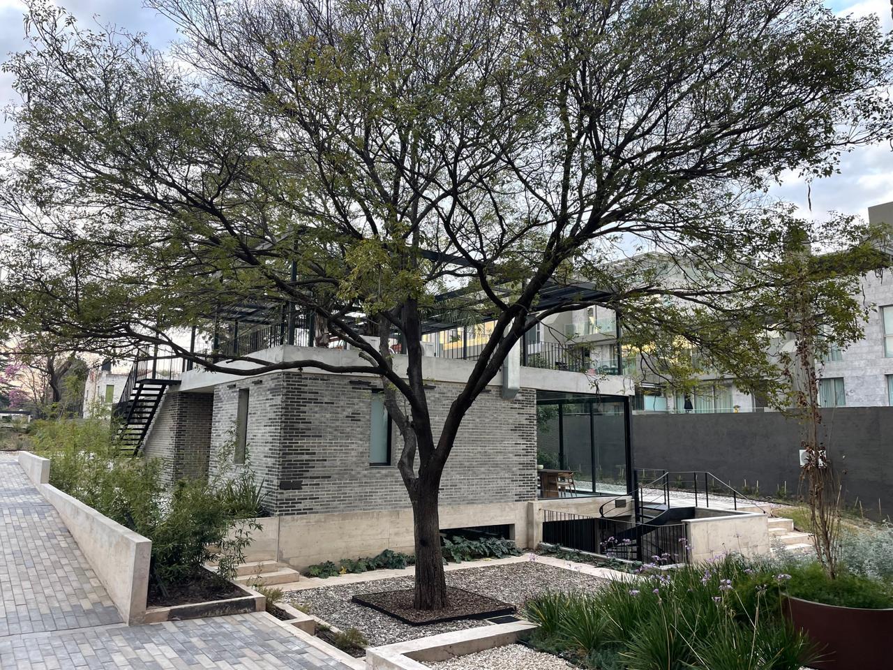 Foto de Departamento Villa Belgrano, dos dormitorios y dos cocheras, imagen 4
