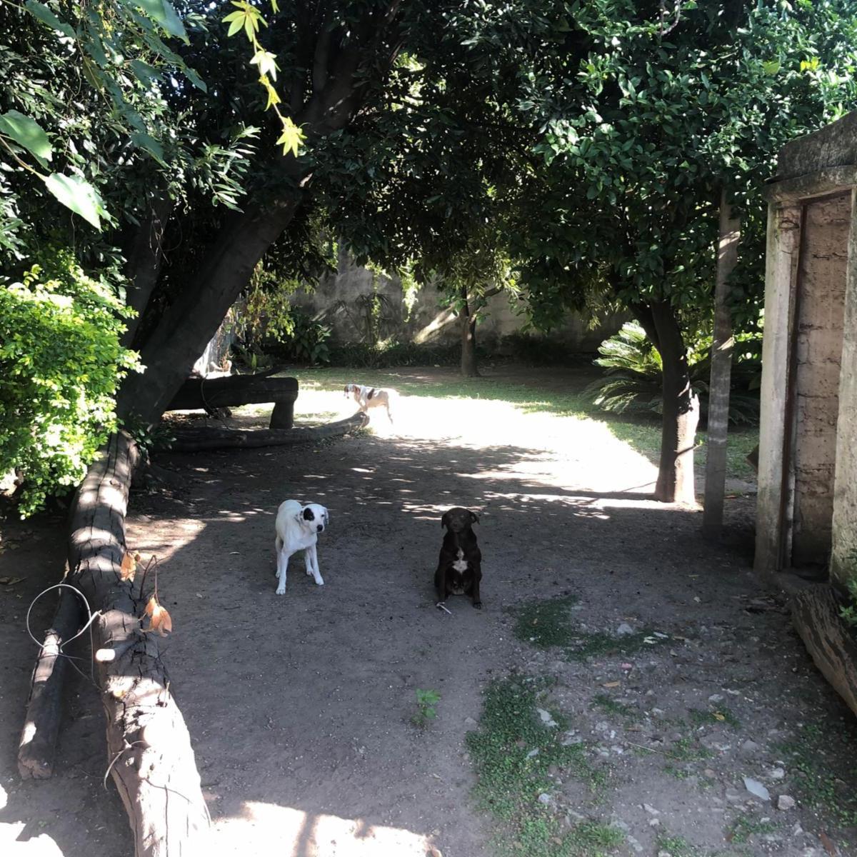 Foto de CASA 3 AMBIENTES CON AMPLIO JARDÍN, imagen 4