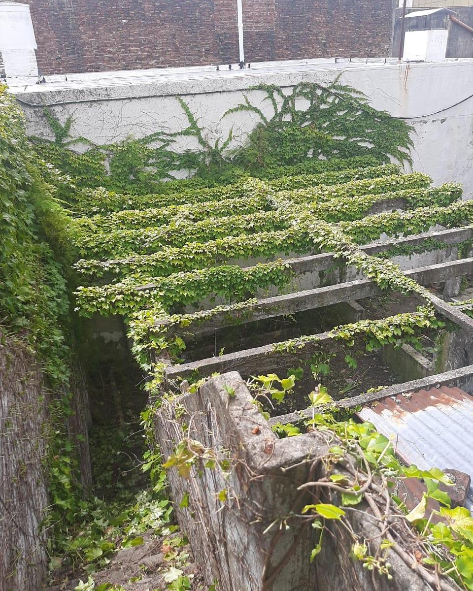 12 de Octubre Al 100 - Avellaneda Centro - Lote 8,66 X 30 m 1