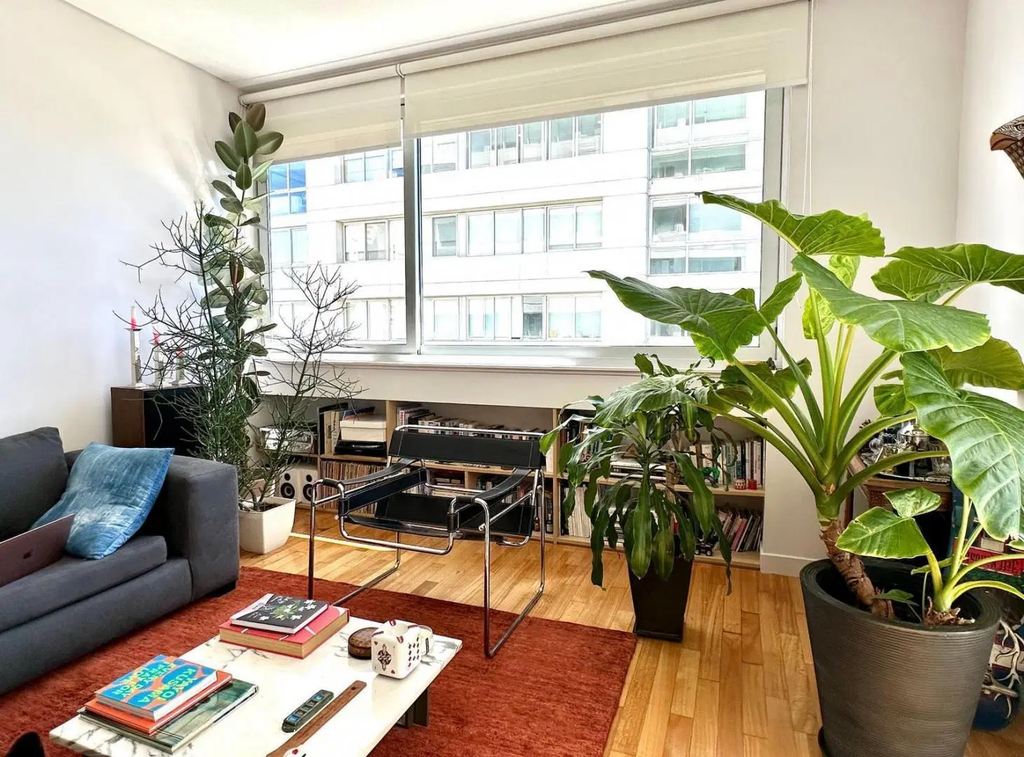 Vicente Lopez, Horizons, ALQUILER DEPARTAMENTO 3 AMBIENTES - IMPERDIBLE! 1