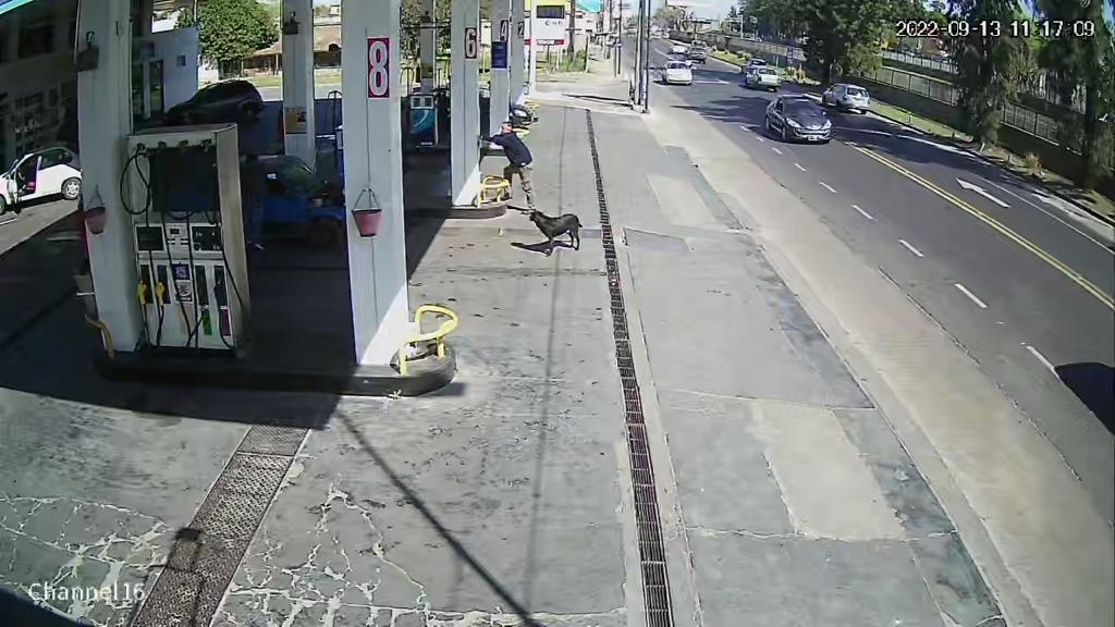 Foto de ITUZAINGO ESTACION DE SERVICIO VENTA TOTAL SOBRE AVENIDA, imagen 2