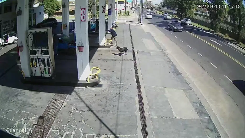ITUZAINGO ESTACION DE SERVICIO VENTA TOTAL SOBRE AVENIDA 1
