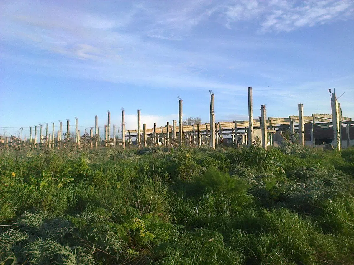 Terreno Quequén 5