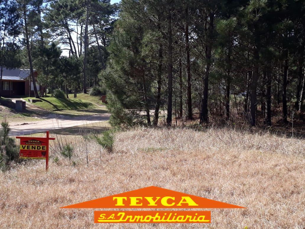 Foto de Lote | DEL ESPARTILLO, imagen 4