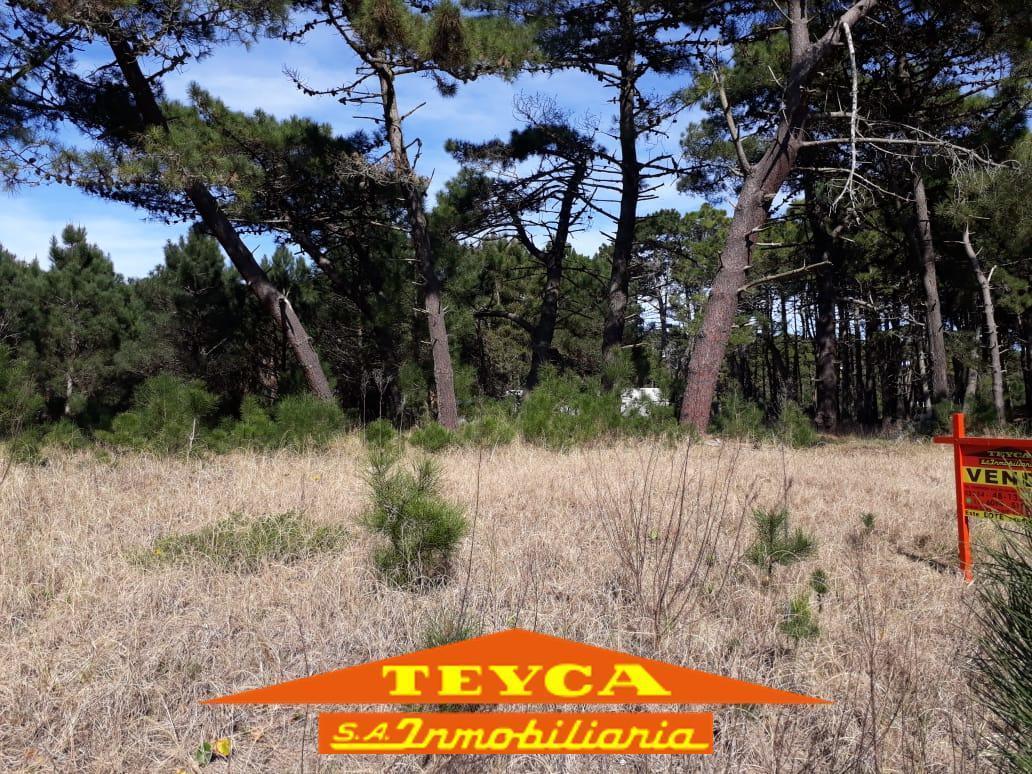 Foto de Lote | DEL ESPARTILLO, imagen 5