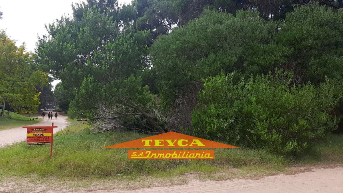 Terreno en PINAMAR NORTE