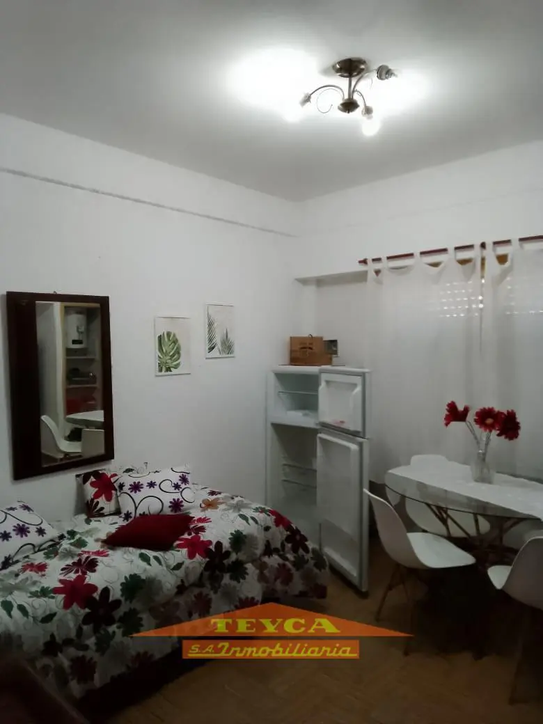 Departamento en Sur Playa 5