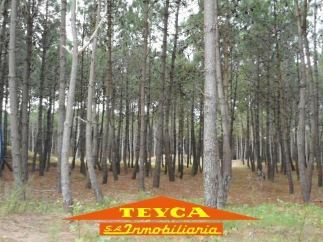 Foto de Lote | Boulevard Florentino Ameghino, imagen 1