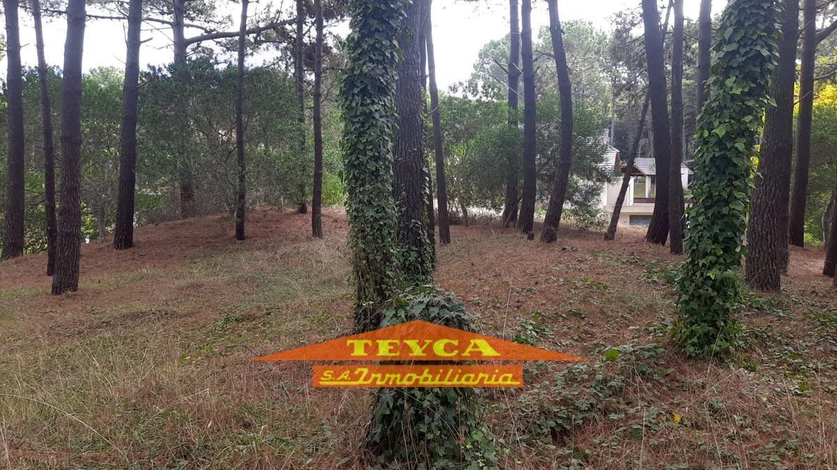 Foto de Terreno en PINAMAR NORTE, imagen 3