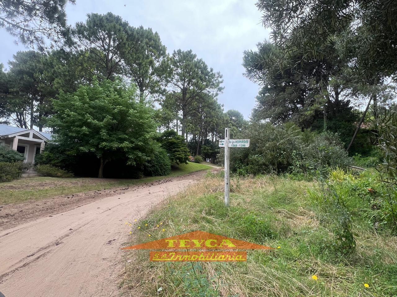 Foto de VENTA Terreno en Rincon del Tridente, imagen 5