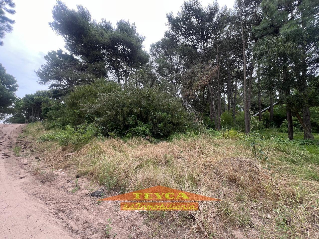 Foto de VENTA Terreno en Rincon del Tridente, imagen 1