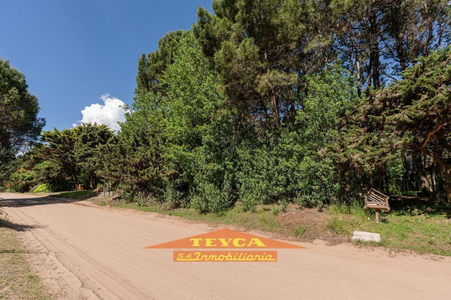 Foto de Venta, Terreno en Carilo, imagen 3