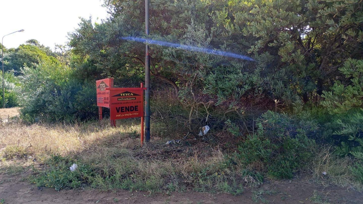 Foto de Terreno "LA FRONTERA" - Pinamar Norte, imagen 2