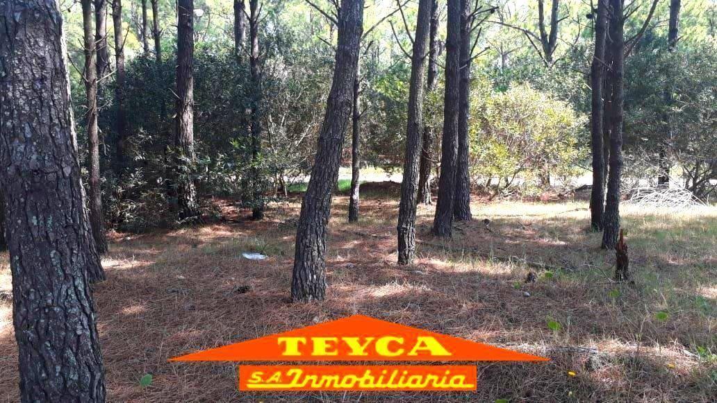 Foto de VENTA, Terreno de 740m2 - ZONA Norte Playa, PINAMAR, EXCELENTE UBICACION!!!, imagen 2
