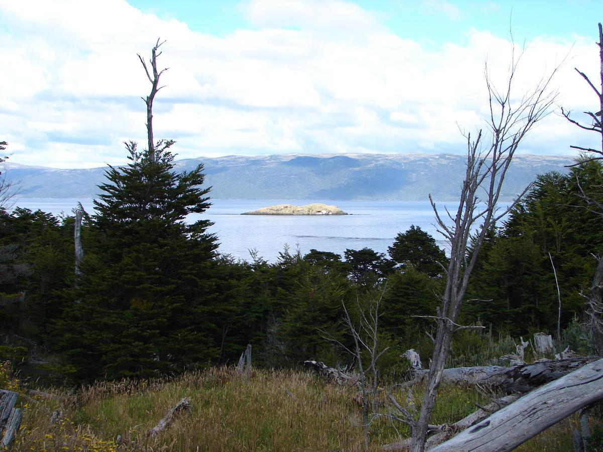 Campo - Ushuaia 2