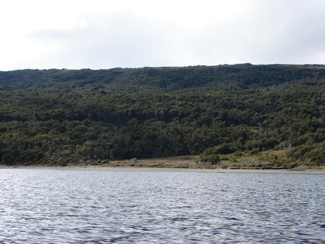 Campo - Ushuaia 1