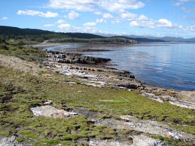 Campo - Ushuaia 5