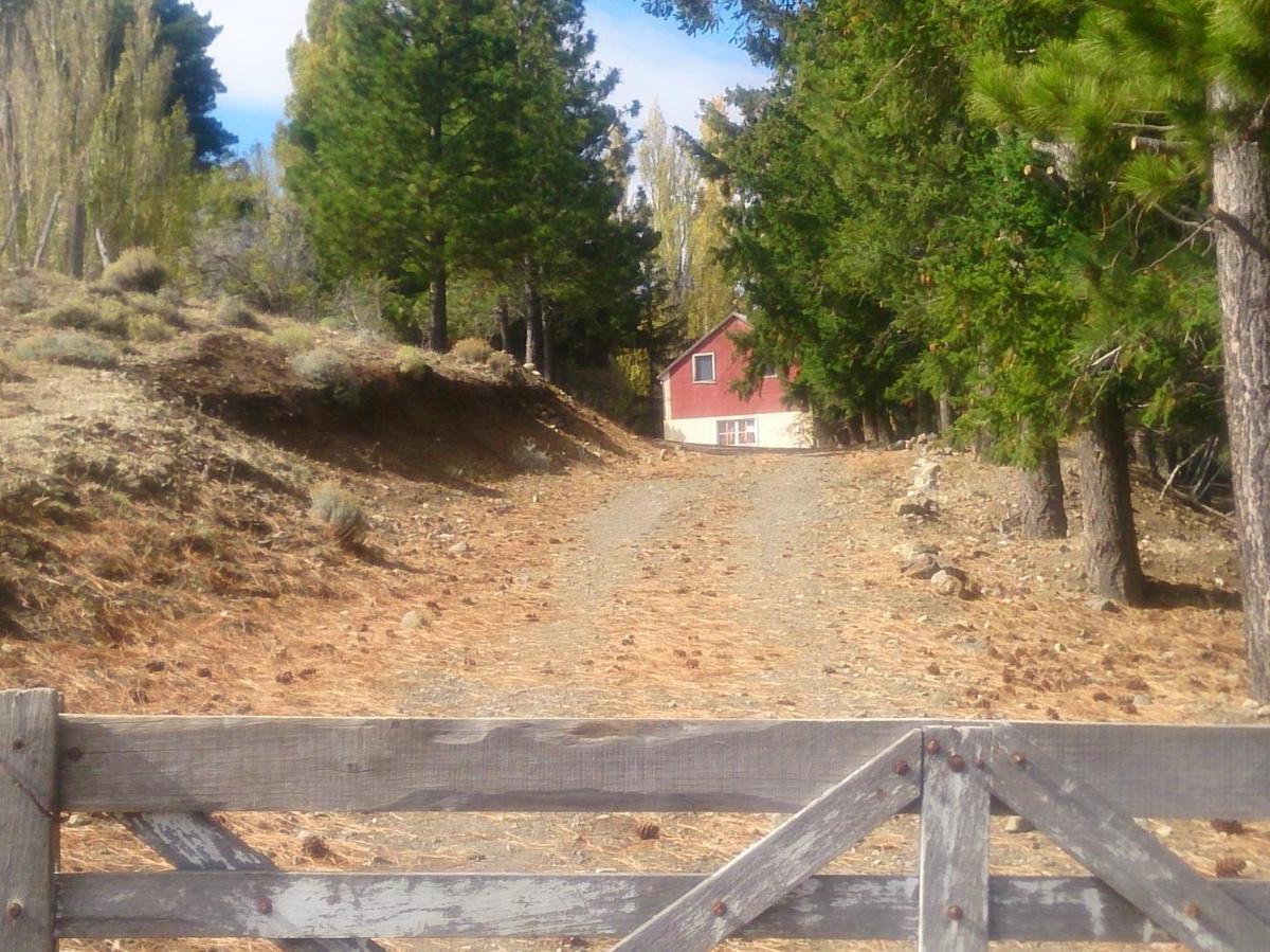 Campo en Esquel - 2.500 Has - Rn 40 1