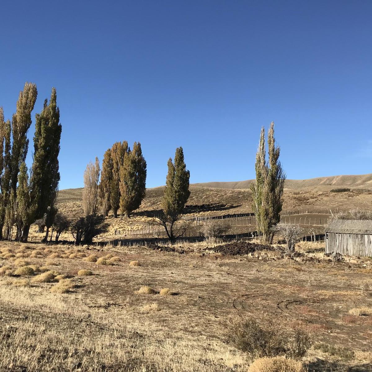 Campo en Esquel - 2.500 Has - Rn 40 3